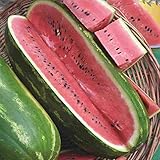 Photo Jubilee Sweet Watermelon Seeds, 75 Heirloom Seeds Per Packet, Non GMO Seeds, best price $5.99 ($0.08 / Count), bestseller 2024