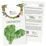 Foto Grünkohl Samen: Premium Grünkohl Saatgut zur Anzucht von 200 Grünkohl Pflanzen – Wintergemüse Samen für Hochbeet und Garten – Samen Gemüse winterhart – Gemüse Samen – Saatgut Wintergemüse von OwnGrown, bester Preis 2,95 € (0,01 € / stück), Bestseller 2024