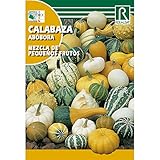 Foto Semillas de Calabaza mezcla de pequeños frutos, mejor precio 1,62 €, éxito de ventas 2025