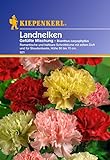 Foto Sperli Blumensamen Landnelken gefüllte Mischung, grün, bester Preis 2,01 € (2,01 € / stück), Bestseller 2025