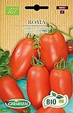 Foto Germisem Orgánica Roma Semillas de Tomate 0.5 g, mejor precio 3,99 €, éxito de ventas 2024