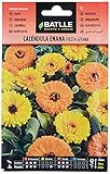 Foto Calendula enana FIESTA GITANA, mejor precio 1,88 €, éxito de ventas 2025