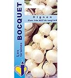 Photo Sachet de graines de Oignon blanc très hâtif de Vaugirard - 4 g - légume racine - LES GRAINES BOCQUET, meilleur prix 3,99 € (997,50 € / kg), best-seller 2024
