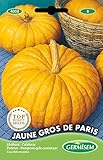 Foto Germisem Jaune Gros de Paris Semillas de Calabaza 3 g, EC4008, mejor precio 2,21 €, éxito de ventas 2025