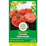 Foto Semillas ecológicas de tomate marmande raf Vergea, mejor precio 1,85 €, éxito de ventas 2024