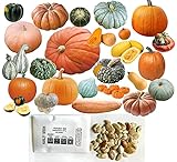 Photo HARLEY SEEDS - Mixed!!! 50+ Pumpkin and Winter Squash Mix Seeds Non-GMO 25 Varieties Delicious Grown in USA. Rare, Super Profilic and Delicious!, best price $9.85 ($0.20 / Count), bestseller 2024