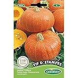 Foto Germisem Vif D 'Etampes Semillas de Calabaza 3 g (EC4006), mejor precio 2,21 €, éxito de ventas 2025