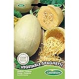 Foto Germisem Vegetable Spaghetti Semillas de Calabacín 3.5 g (EC4021), mejor precio 2,21 €, éxito de ventas 2025