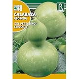 Foto Semilla Calabaza del Peregrino, mejor precio 1,62 €, éxito de ventas 2025