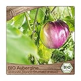 Foto Samenliebe BIO Auberginen Samen alte Sorte Rotonda Bianca Sfumata di Rosa baby Aubergine runde Eierfrucht rosa weiß 10 Samen samenfestes Gemüse Saatgut für Gewächshaus Freiland und Balkon, bester Preis 3,29 €, Bestseller 2025