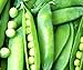 50 Lincoln Pea Seeds | Non-GMO | Fresh Garden Seeds new 2024