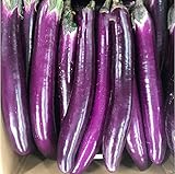 Foto 150Piezas De Berenjena Semillas Tiras Largas Y Delgadas Verduras De Herencia Anual A Base De Hierbas Fácil De Cultivar Cree Su Propio Jardín Pastoral De Su Casa Plantación Simple, mejor precio 4,99 €, éxito de ventas 2024