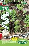 Foto Germisem Lettuce Cutting Mix Semillas de Rábano en Cinta de 6 m, mejor precio 4,91 €, éxito de ventas 2025