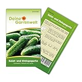 Foto Salat- und Einlegegurke Delikateß Samen - Cucumis sativus - Gurkensamen - Gemüsesamen - Saatgut für 10 Pflanzen, bester Preis 1,99 € (0,20 € / stück), Bestseller 2024