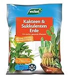 Foto Westland Kakteen & Sukkulenten Erde, 4 l – Kakteenerde für gesunde Pflanzen, Erde mit Tongranulat zur optimalen Wasser- und Nährstoffverteilung, bester Preis 5,49 € (1,37 € / l), Bestseller 2024