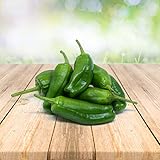 Foto Pimento Padron 25 x Samen aus Portugal 100% Natürlich ohne Chemische Anzuchthilfe oder Gentechnik, bester Preis 2,49 € (2,49 € / stück), Bestseller 2025