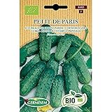 Foto Germisem Orgánica Petit de Paris Semillas de Pepino 2 g, mejor precio 3,99 €, éxito de ventas 2025