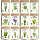 Photo Seedra 12 Herb Seeds Variety Pack - 3800+ Non-GMO Heirloom Seeds for Planting Hydroponic Indoor or Outdoor Home Garden - Rosemary, Tarragon, Lavender, Oregano, Basil, Thyme, Parsley, Chives & More, best price $15.89 ($1.32 / Count), bestseller 2025