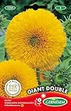 Foto Germisem Giant Double Semillas de Girasol 2 g (EC1534), mejor precio 2,70 €, éxito de ventas 2025