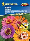 Foto Kiepenkerl Zinnie 'Bumblebee',1 Portion, bester Preis 3,34 € (3,34 € / Stück), Bestseller 2025