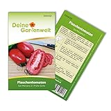 Foto Flaschentomaten San Marzano 2 Samen - Solanum lycopersicum - Tomatensamen - Gemüsesamen - Saatgut für 20 Pflanzen, bester Preis 1,99 € (0,10 € / stück), Bestseller 2024