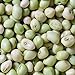 David's Garden Seeds Southern Pea (Cowpea) Zipper Cream 4112 (Cream) 100 Non-GMO, Open Pollinated Seeds new 2024