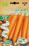 Foto Germisem Orgánica Nantes 2 Semillas de Zanahoria en Cinta de 4 m, ECBIO9051, mejor precio 3,99 €, éxito de ventas 2024