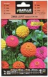 Foto Zinnia LILIPUT variada (Pom Pom), mejor precio 1,88 €, éxito de ventas 2025