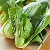 Foto Semillas de col china Pak Choi - Brassica chinensis, mejor precio 9,99 €, éxito de ventas 2025