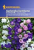 Foto Sperli Blumensamen Glockenblume Marien-Prachtmischung, grün, bester Preis 3,02 €, Bestseller 2025