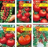 Foto Frankonia-Samen / Tomatensamen-Sortiment / 6 Tomatensorten / Tomate Supersweet / Tomate Harzfeuer / Tomate Matina / Tomate Hellfrucht / Fleischtomate / Tomate Balkonzabuber, bester Preis 6,95 €, Bestseller 2025