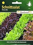 Foto Schnittsalat Fitness Mix Salat vitaminreich, bester Preis 2,50 €, Bestseller 2024