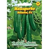 Foto Hausgurke Saladin F1 (Portion), bester Preis 3,54 €, Bestseller 2024