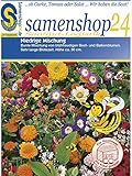 Foto Samenshop24´s Bienenfreude, niedrige Blumenmischung (1 Stück), bester Preis 2,49 € (2,49 € / Stück), Bestseller 2025