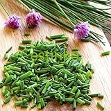 Foto 100pcs / lot de las cebolletas chinas de Semillas Semillas Allium Schoenoprasum Condimento vegetal Oriental ensalada de cebolla semillas de hortalizas Bonsai bricolaje, mejor precio 5,64 €, éxito de ventas 2025