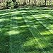 Outsidepride Midnight Kentucky Bluegrass Lawn Grass Seed - 5 LBS new 2024
