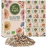 Foto Nachhaltiges BIO Blumensamen Set - 12 Sorten BIO Blumen Samen, 100% Natürlich, extra viele Samen - BIO Saatgut für Blumenwiese und mehr - Pflanzensamen Set mit Wildblumensamen, Nachhaltig Verpackt, bester Preis 24,95 € (2,08 € / stück), Bestseller 2024