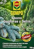 Foto Compo 750 g Abono setos de larga, tipo de coníferas y plantas de hoja perenne, 6 meses de duración, Negro, mejor precio 5,85 €, éxito de ventas 2025