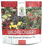 Photo Deer Resistant Wildflower Seed Mixture - Bulk 1 Ounce Packet - Over 15,000 Deer Tolerant Seeds - Open Pollinated and Non GMO, best price $7.97, bestseller 2024