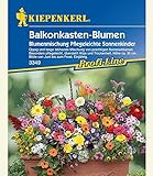 Foto Balkonkasten-Blumenmix Pflegeleichte Sonnenkinder,1 Portion, bester Preis 3,99 €, Bestseller 2025