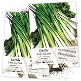 Photo Seed Needs, Tokyo Long White Onion (Allium fistulosum) Twin Pack of 850 Seeds Each Non-GMO, best price $4.85, bestseller 2025