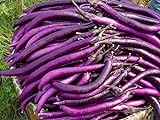 Foto la semilla de berenjena púrpura 200PC. semillas de plantas hortícolas verde natural. Sencillo establecimiento del jardín, mejor precio 5,99 €, éxito de ventas 2024