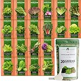 Photo Bulk Lettuce & Leafy Greens Seed Vault - 3000+ Non-GMO Vegetable Seeds for Planting Indoor or Outdoor - Kale, Spinach, Butter, Oak, Romaine Bibb & More - Hydroponic Home Garden Seeds (20 Variety), best price $21.95 ($1.10 / Count), bestseller 2024