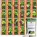 Bulk Lettuce & Leafy Greens Seed Vault - 3000+ Non-GMO Vegetable Seeds for Planting Indoor or Outdoor - Kale, Spinach, Butter, Oak, Romaine Bibb & More - Hydroponic Home Garden Seeds (20 Variety) new 2024