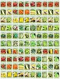 Photo 100 Assorted Heirloom Vegetable Seeds 100% Non-GMO (100, Deluxe Assorted Vegetable Seeds), best price $47.99 ($0.48 / Count), bestseller 2025