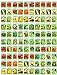 100 Assorted Heirloom Vegetable Seeds 100% Non-GMO (100, Deluxe Assorted Vegetable Seeds) new 2024