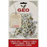 Foto Geo Guisante Semillas para germinar, Marrón, 12.7x0.7x20 cm, mejor precio 2,24 €, éxito de ventas 2025