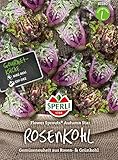 Foto 81180 Sperli Premium Rosenkohl Samen Flower Sprouts | Neuheit | Mischung aus Rosenkohl und Grünkohl | Rosenkohl Saatgut | Kohl Samen, bester Preis 6,77 €, Bestseller 2024