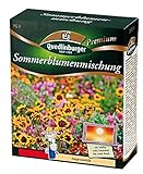 Foto Sommerblumenmischung (ohne Gräser) NEU, bester Preis 7,21 € (72,10 € / kg), Bestseller 2024