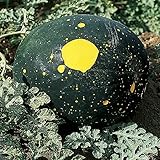 Photo Burpee Moon & Stars Heirloom Watermelon Seeds 30 seeds, best price $7.87 ($0.26 / Count), bestseller 2025